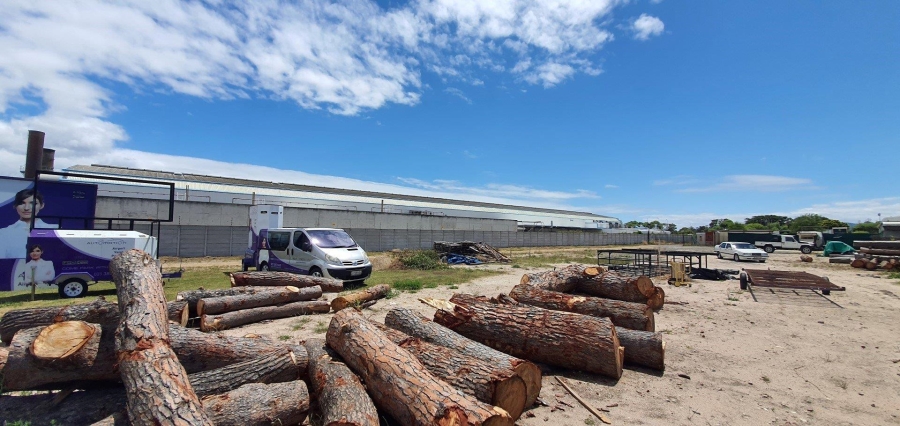To Let commercial Property for Rent in Airport Industria Western Cape